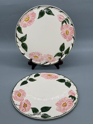 Villeroy & Boch – 2 große Kochteller „Wild-Rose“ (Ø 32 cm,, Antiek en Kunst
