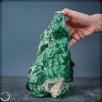 Natuurlijke groene fluorietkristalcluster Op Matrix- 2299.12, Verzamelen