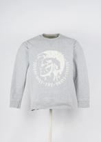 Regular Diesel Hoodie in Gray size M, Kleding | Dames, Truien en Vesten, Ophalen of Verzenden, Nieuw