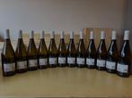 2024 Volpe Pasini, Sauvignon - Frioul-Vénétie Julienne - 12, Nieuw