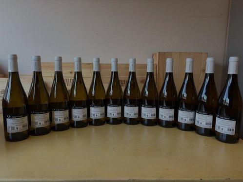 2024 Volpe Pasini, Sauvignon - Frioul-Vénétie Julienne - 12, Verzamelen, Wijnen