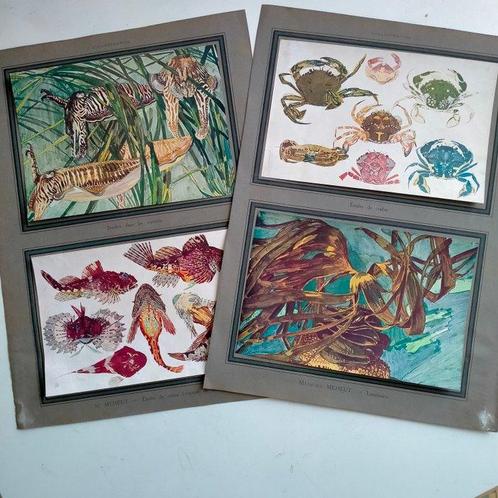 Themacollectie - 6 originele prints van Mathurin Méheut, Antiek en Kunst, Antiek | Speelgoed