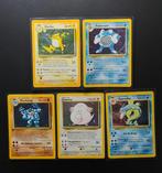 WOTC Pokémon - 5 Card - Set Base - ITA - Raichu Holo -, Nieuw