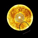 Minitallux - Marco Pagnoncelli - Padella - Plafonnier -