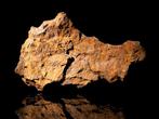 Vaca Muerta meteoriet Mesosideriet - Hoogte: 180 mm -