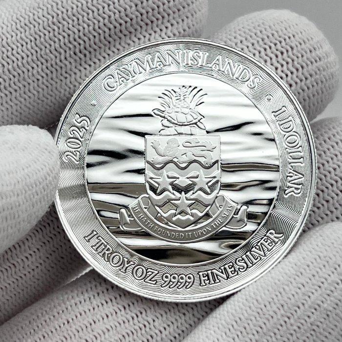 Kaaimaneilanden (Brits overzees gebied). 1 Dollar 2025, Timbres & Monnaies, Monnaies | Europe | Monnaies non-euro