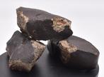 3 chondrietenmeteorieten met zwarte fusiekorst - 515 g