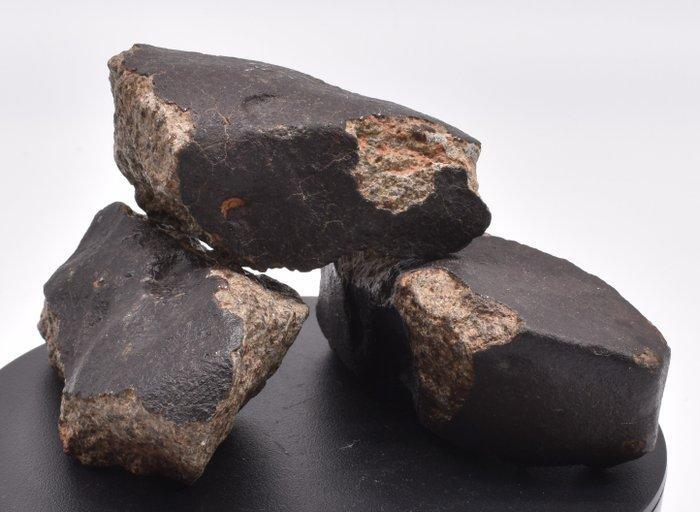 3 chondrietenmeteorieten met zwarte fusiekorst - 515 g, Collections, Minéraux & Fossiles