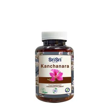 Kanchanar (Kanchanara/Kanug), Ophalen of Verzenden
