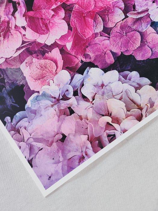 Viet Ha Tran - Hortensia I, Antiek en Kunst, Kunst | Designobjecten