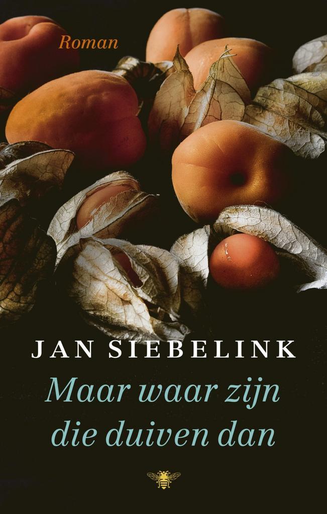 Maar waar zijn die duiven dan (9789403182902, Jan Siebelink), Boeken, Romans, Nieuw, Verzenden