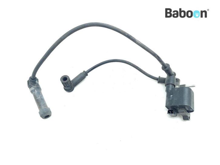 Bobine Ducati Monster 1100 S 2009-2011, Motoren, Onderdelen | Ducati, Verzenden