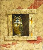 Alan Weston - Great horned owl
