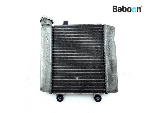 Radiateur Honda FES 125 Pantheon 2003-2006 (FES125), Motoren, Onderdelen | Honda, Gebruikt, Verzenden