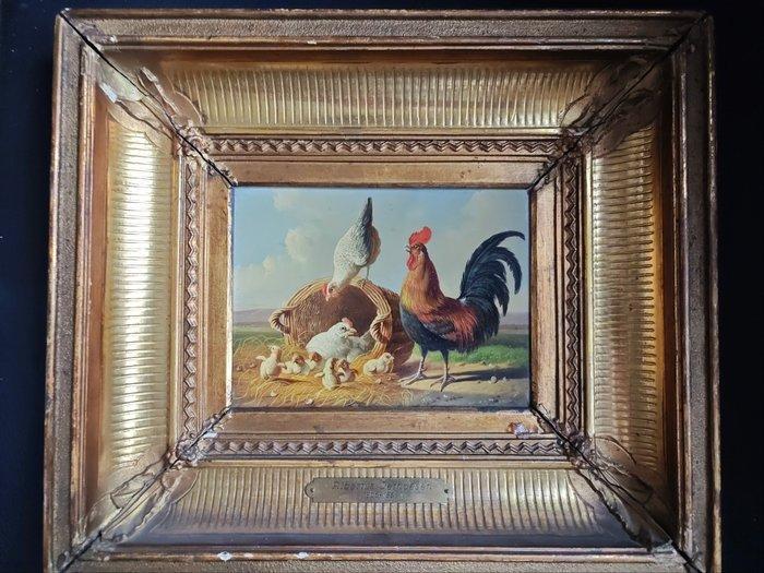 Albertus Verhoesen (1806-1881) - Kippen op het erf, Antiquités & Art, Art | Peinture | Classique