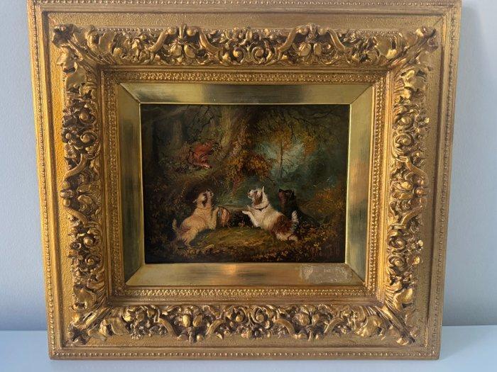 George Armfield (1808-1893) - Fuchsjagd / Hunt, Antiek en Kunst, Kunst | Schilderijen | Klassiek