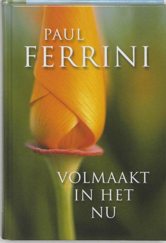 Volmaakt in het nu - Paul Ferrini - 9789020283716 - Hardcove, Boeken, Esoterie en Spiritualiteit, Verzenden