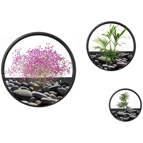 TRUUSK Set van 3 Wand-Plantenbakken - Voor Vetplanten & Cact, Tuin en Terras, Bloembakken en Plantenbakken, Verzenden
