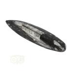 Orthoceras Fossiel geslepen Nr 18 - 116 gram, Nieuw, Verzenden