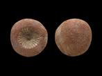 Oud-Egyptisch Terracotta Rosette Mould (Zonder Minimumprijs)