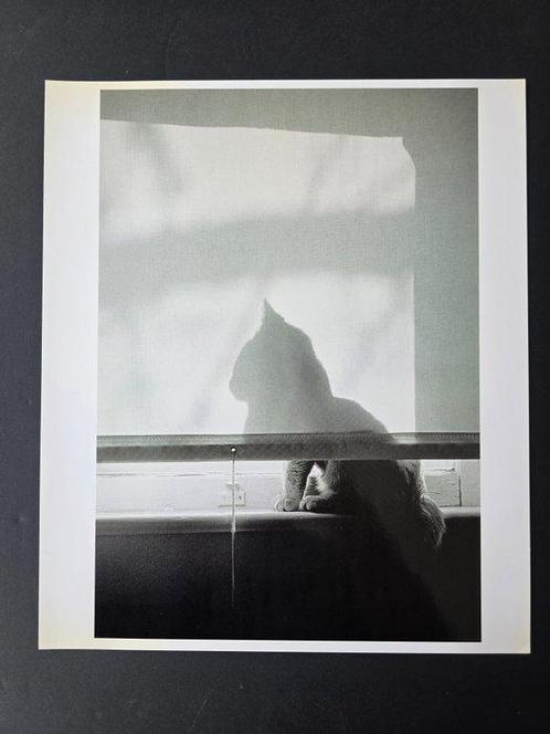 Rich Isawaki - Le Chat, Antiek en Kunst, Kunst | Schilderijen | Modern