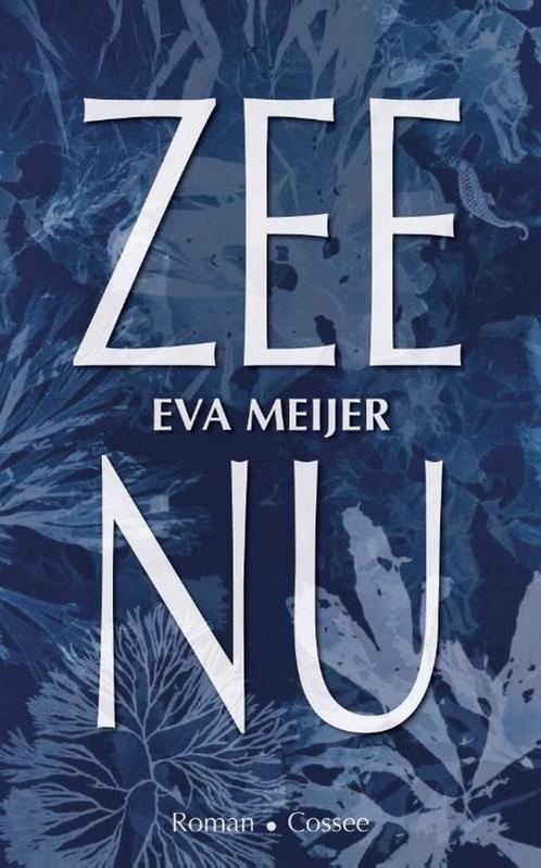 Zee nu 9789464520132 Eva Meijer, Boeken, Overige Boeken, Zo goed als nieuw, Verzenden