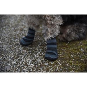 Protection pour chien active gris-noir, xxl, Dieren en Toebehoren, Honden-accessoires