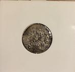 Nederland, Friesland Pijl- of Bezemstuiver