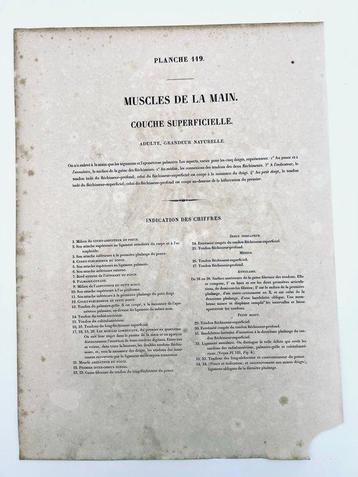 Matériel pédagogique - Nicolas-Henri Jacob & Jean Baptiste