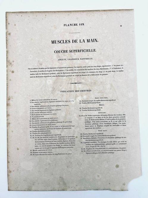 Matériel pédagogique - Nicolas-Henri Jacob & Jean Baptiste, Antiek en Kunst, Antiek | Wandborden en Tegels