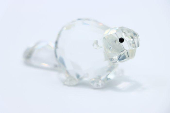 Swarovski - Figuur - Swarovski - Bever groot (Boxed) -, Antiek en Kunst, Curiosa en Brocante