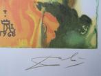 Salvador Dali (1904-1989) - Alice aux Pays des Merveilles :, Antiek en Kunst