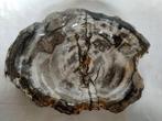 Kom - Bowl - versteend hout - kom, Verzamelen