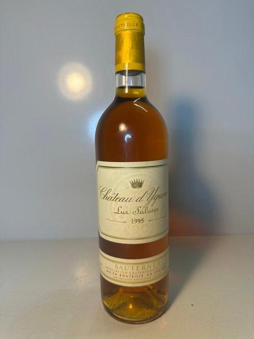 1995 Chateau d’Yquem - Sauternes 1er Cru Supérieur - 1, Verzamelen, Wijnen