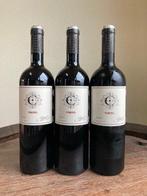 2020 Copel Wines. Pomerol - Bordeaux - 3 Flessen (0.75, Verzamelen, Wijnen, Nieuw