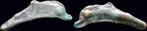 Ca 5th-4th cent Bc Sarmatia Olbia Ae cast dolphin Brons, Postzegels en Munten, Munten en Bankbiljetten | Verzamelingen, Verzenden