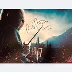 Harry Potter - Signed by Ralph Fiennes (Voldemort)