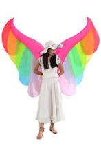 KIMU® Opblaas Kostuum Vleugels Regenboog Opblaasbaar Pak Vli, Nieuw, Ophalen of Verzenden