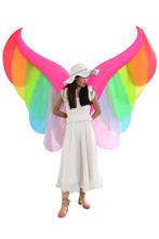 KIMU® Opblaas Kostuum Vleugels Regenboog Opblaasbaar Pak Vli, Kleding | Dames, Ophalen of Verzenden, Nieuw