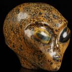 754g Leopardenfell-Jaspis met blauw-goud-glans ogen 8,9 ×