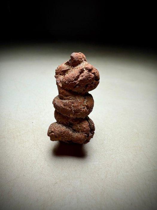 Perfect Fossil poep - Fossiel fragment - Coprolite (Zonder, Collections, Minéraux & Fossiles