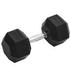 vidaXL Halters 22,5 kg gietijzer, Sport en Fitness, Verzenden, Nieuw