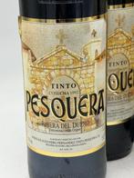 1992 Alejandro Fernandez, Tinto Pesquera - Ribera del Duero, Verzamelen, Nieuw