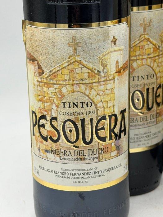 1992 Alejandro Fernandez, Tinto Pesquera - Ribera del Duero, Verzamelen, Wijnen