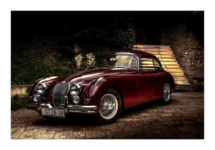 Gabor Helyes - Red Cat No.18236, Antiek en Kunst, Kunst | Designobjecten
