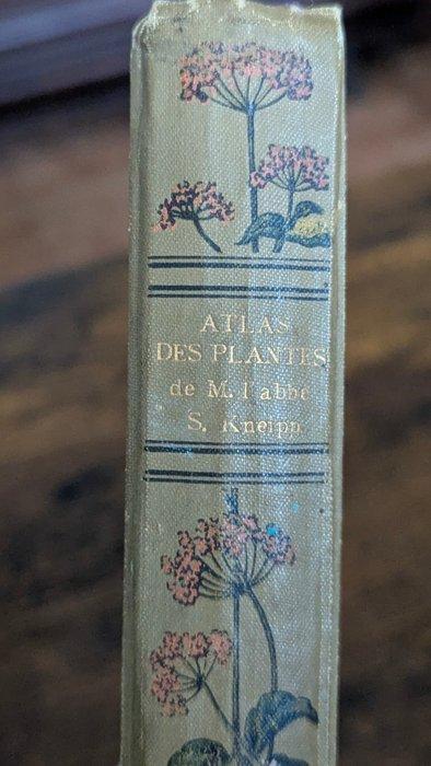 Sébastien Kneipp - Atlante vegetale delle piante medicinali, Antiek en Kunst, Antiek | Boeken en Manuscripten