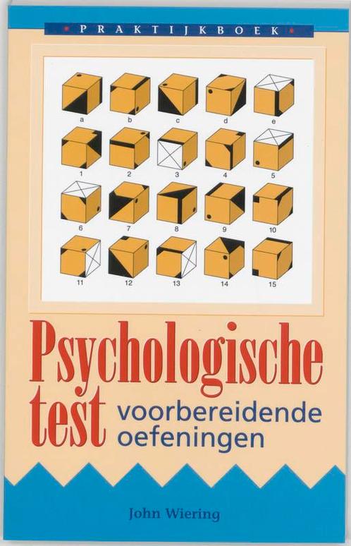Praktijkboek psychologische test 9789038902586, Boeken, Psychologie, Gelezen, Verzenden