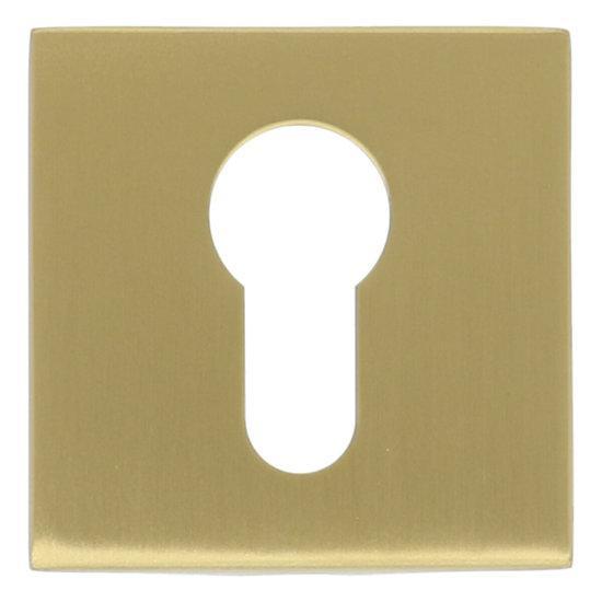 PC-Plaatje Vierkant 53x53x10 PVD Mat Goud, Doe-het-zelf en Bouw, Raamkozijnen en Schuifdeuren, Ophalen of Verzenden