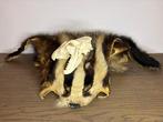 Das Taxidermie volledige montage - meles meles - 5 cm - 40
