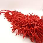 Corail rouge Corail - Corallium rubrum, Collections